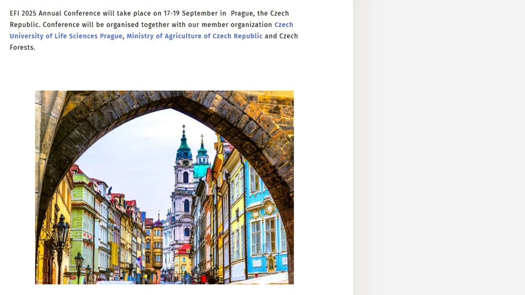 2025 EFI Annual Conference