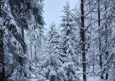 © Mathilde Vidal (ERINN)