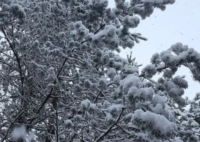 © Mathilde Vidal (ERINN)