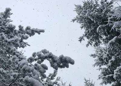 © Mathilde Vidal (ERINN)