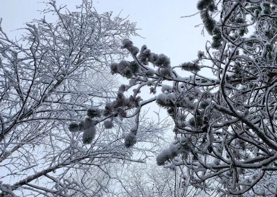 © Mathilde Vidal (ERINN)