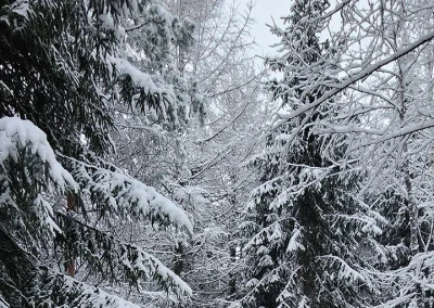 © Mathilde Vidal (ERINN)