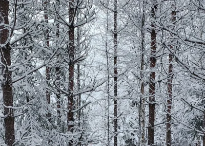 © Mathilde Vidal (ERINN)