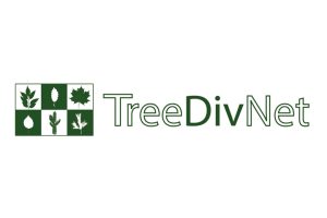 TreeDivNet