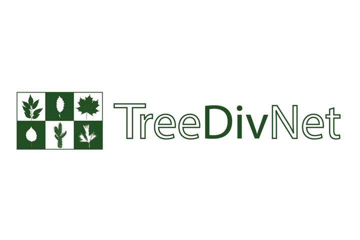 TreeDivNet