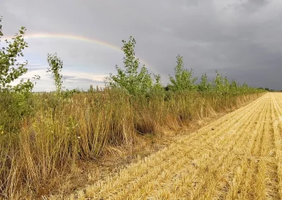 © agroforst monitoring