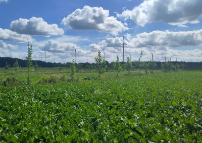 © agroforst monitoring