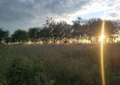 © agroforst monitoring